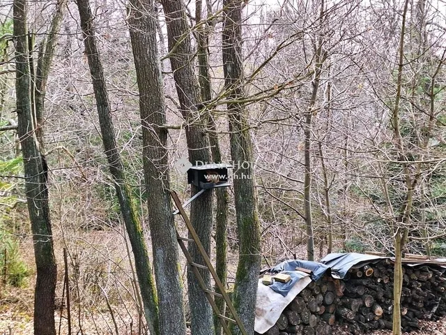 Eladó ház Pilisszentkereszt 74 nm