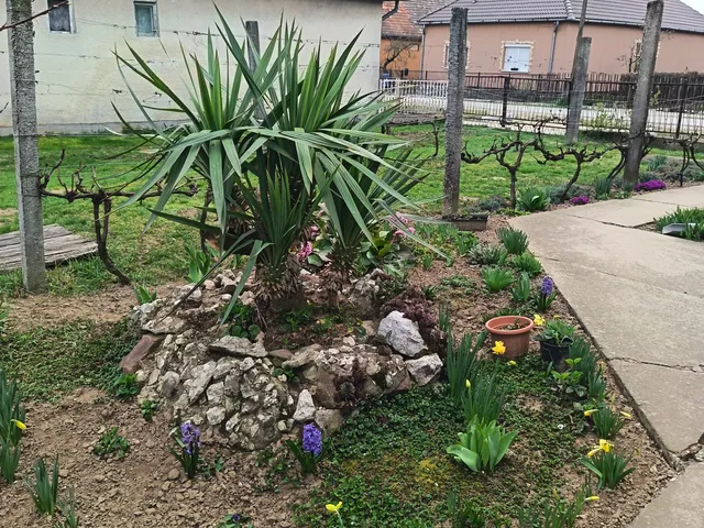 Eladó ház Kadarkút, Szabadság utca 70 nm