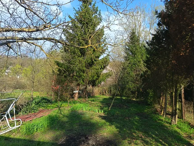 Eladó üdülő és hétvégi ház Kaposvár, Cser 30 nm