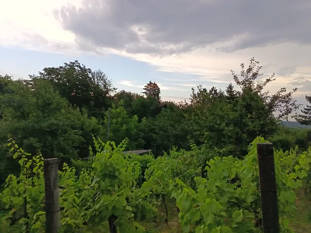 Eladó telek Kaposvár, Zselic-kertváros 877 nm