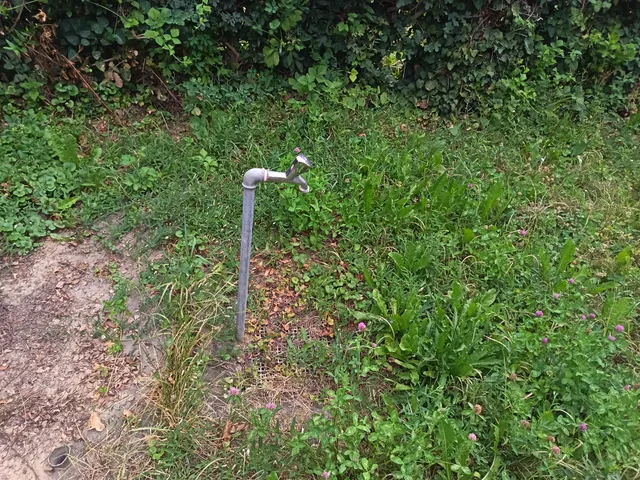 Eladó telek Kaposvár, Zselic-kertváros, Dongó 877 nm