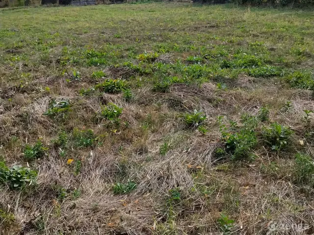 Eladó telek Kaposvár, Donner 1504 nm