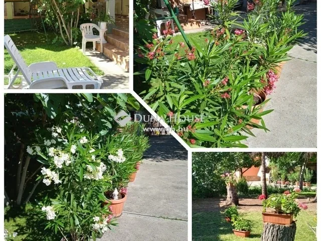 Eladó ház Vecsés 226 nm