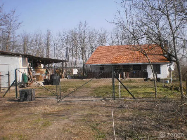 Eladó mezőgazdasági ingatlan Csengele 5600 nm