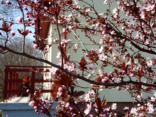 Eladó ház Székesfehérvár, Maroshegy 90 nm