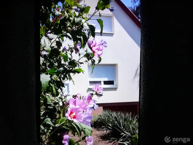 Kiadó ház Székesfehérvár, Maroshegy 60 nm