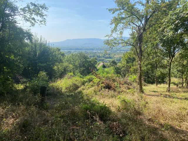 Eladó telek Verőce 3000 nm