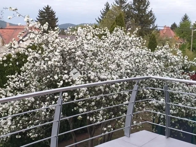 Eladó ház Budapest II. kerület 386 nm