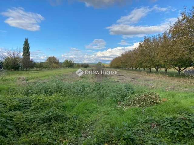 Eladó ház Galgahévíz 100 nm