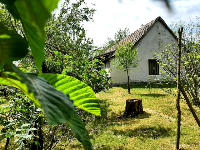 Eladó mezőgazdasági ingatlan Szabadszállás 61 nm