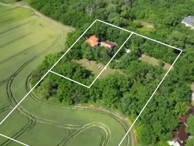 Eladó mezőgazdasági ingatlan Délegyháza 107 nm