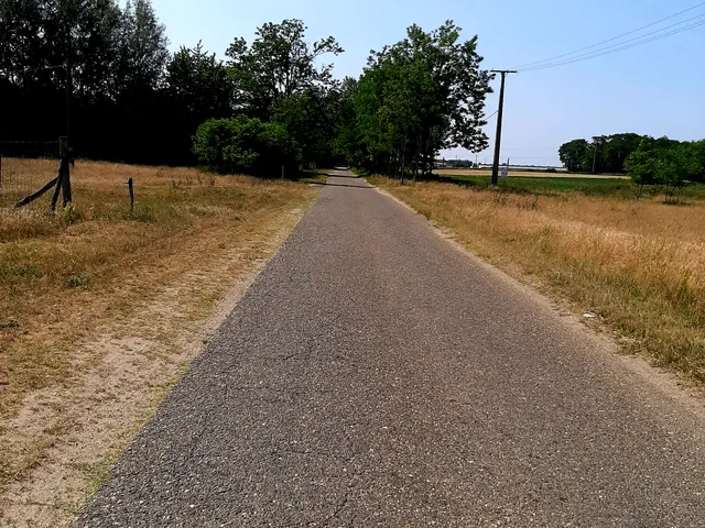 Eladó mezőgazdasági ingatlan Lajosmizse 50 nm