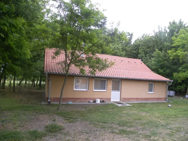 Eladó mezőgazdasági ingatlan Csengele 80 nm