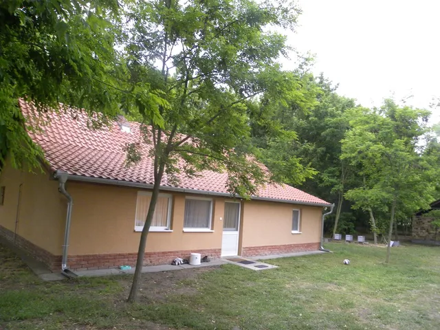 Eladó mezőgazdasági ingatlan Csengele 80 nm