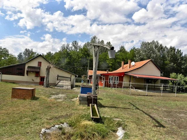 Eladó mezőgazdasági ingatlan Csengele 160 nm
