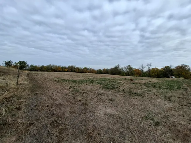 Eladó telek Gomba, Bercsényi Miklós utca 14500 nm