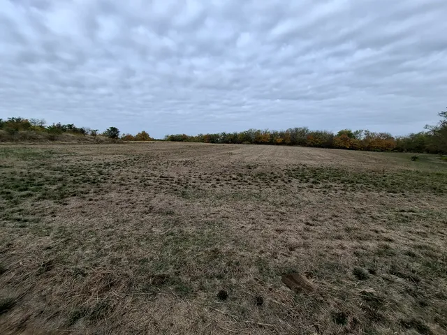 Eladó telek Gomba, Bercsényi Miklós utca 14500 nm