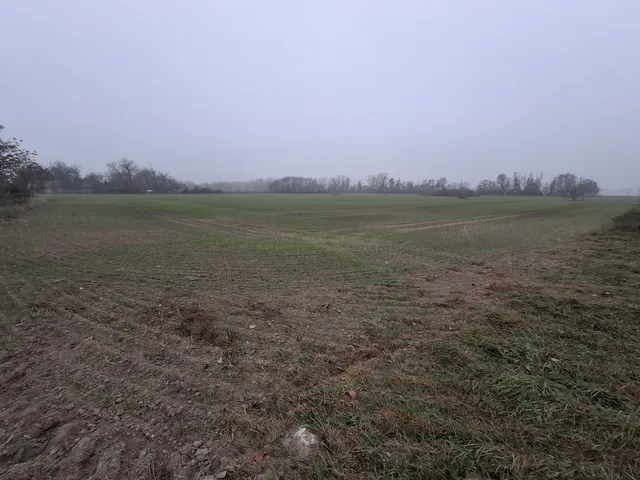 Eladó telek Kiskunlacháza 40000 nm
