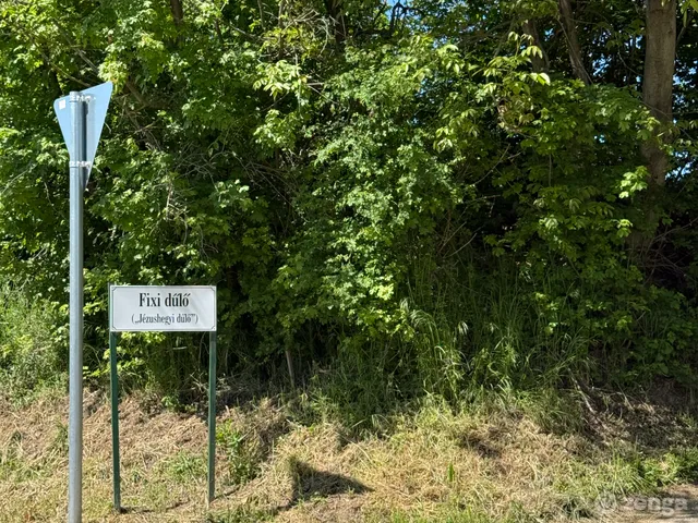 Eladó telek Mány, Fixi dűlő 5278 nm