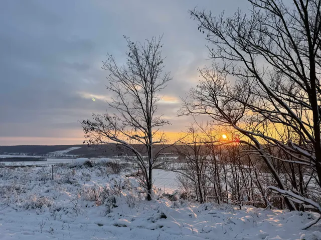 Eladó telek Tényő 915 nm