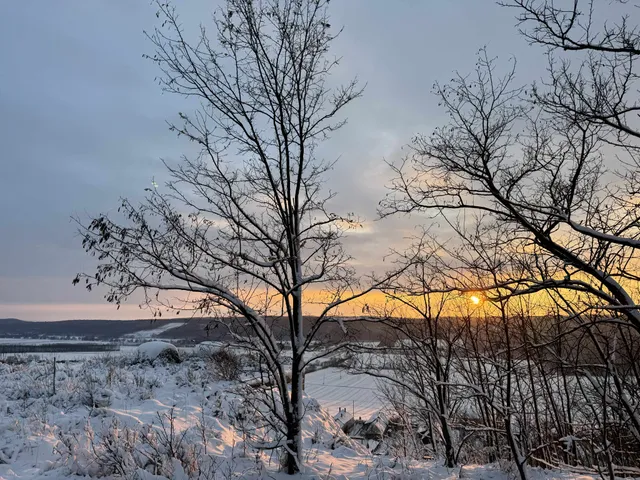 Eladó telek Tényő 915 nm