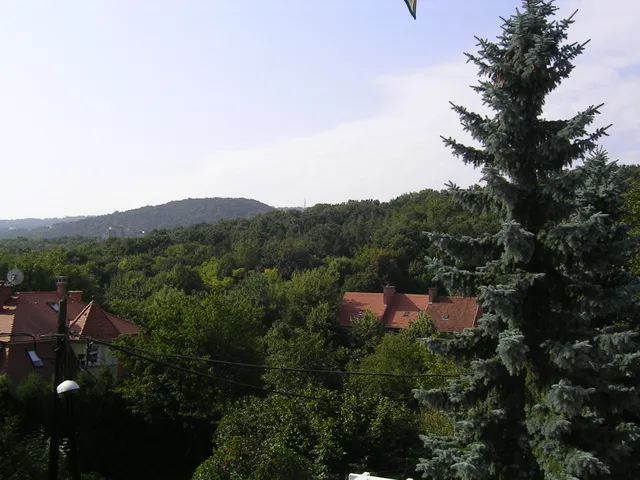 Eladó ház Budapest II. kerület, Kurucles 171 nm
