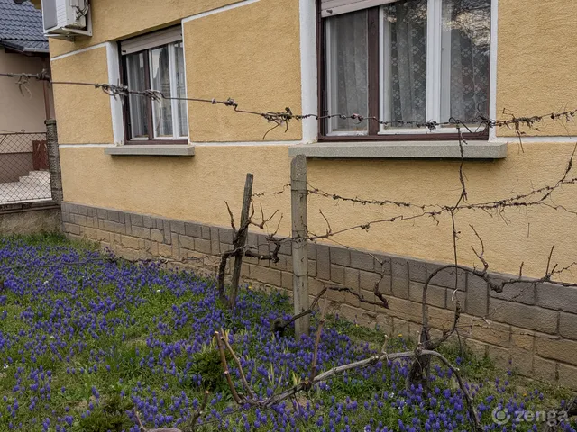 Eladó ház Nagysimonyi 80 nm