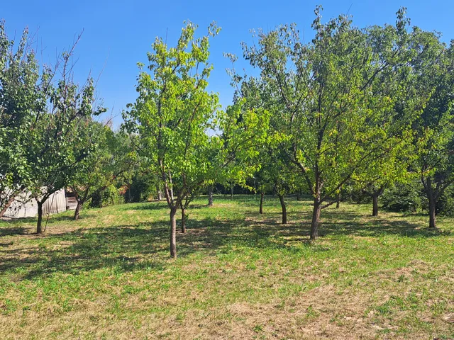 Eladó telek Markaz, Árpád utca 1662 nm