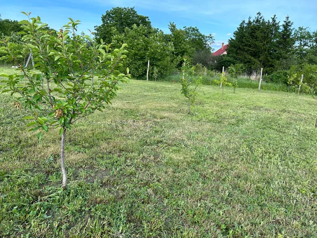 Eladó telek Abasár, Iskola út 2208 nm