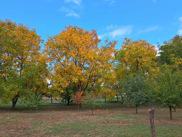 Eladó ház Gyöngyös 204 nm