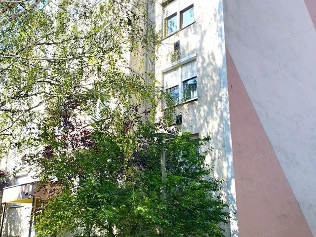Kiadó lakás Törökszentmiklós 49 nm