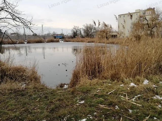 Eladó mezőgazdasági ingatlan Törökszentmiklós 16000 nm