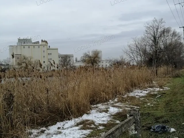 Eladó mezőgazdasági ingatlan Törökszentmiklós 16000 nm
