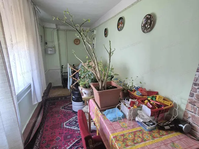 Eladó ház Szajol 80 nm