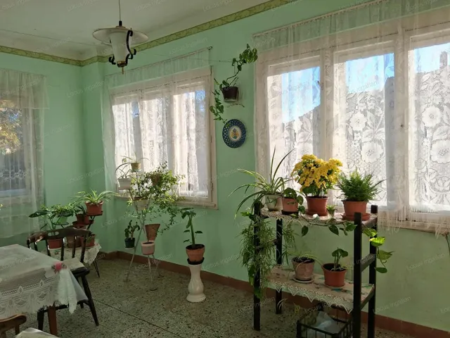 Eladó ház Törökszentmiklós 80 nm