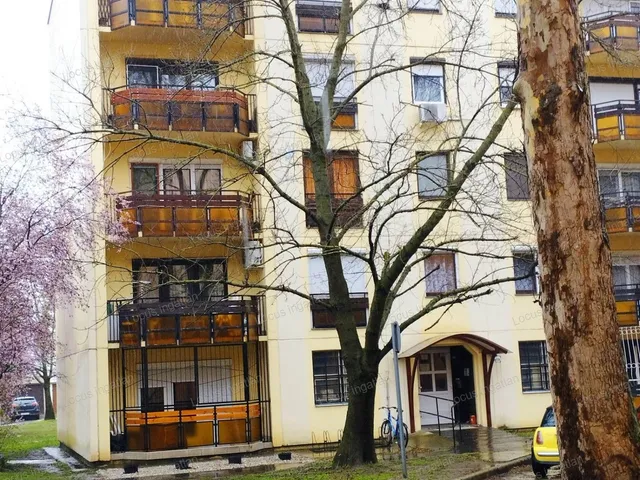 Eladó lakás Törökszentmiklós 48 nm