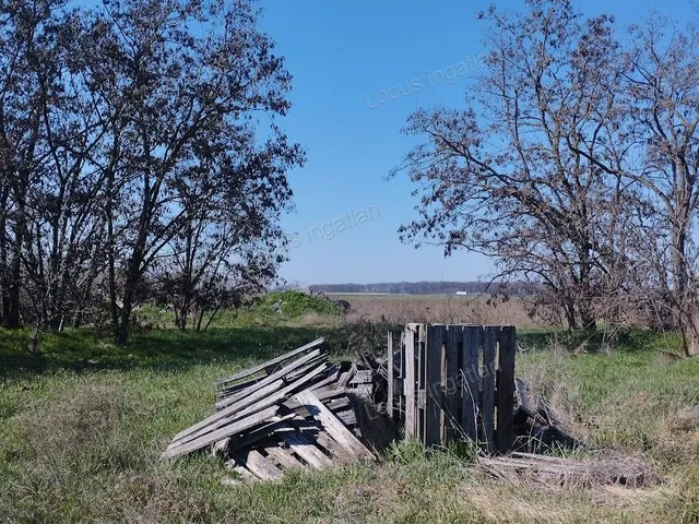 Eladó telek Törökszentmiklós, Alvég 2751 nm