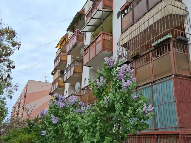 Eladó lakás Törökszentmiklós 39 nm