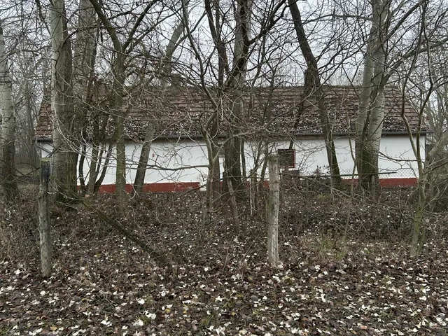 Eladó mezőgazdasági ingatlan Kecskemét, Méntelek, ladánybenei út 80 nm