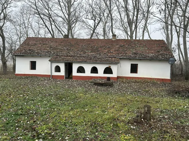 Eladó mezőgazdasági ingatlan Kecskemét, Méntelek 80 nm