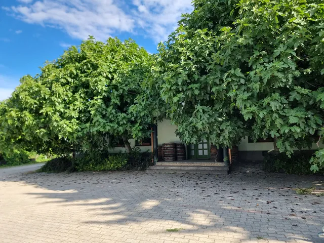 Eladó kereskedelmi és ipari ingatlan Keszthely, Kertváros 500 nm