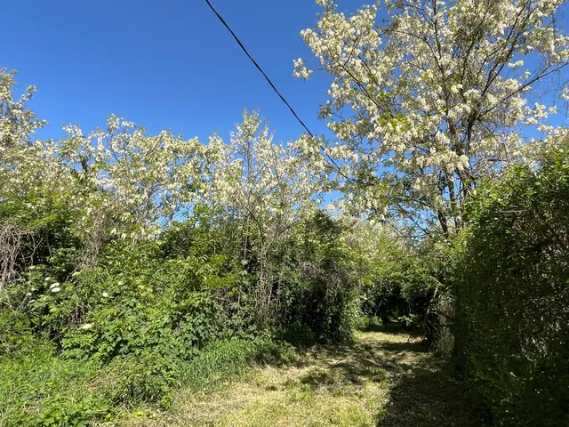Eladó telek Balatonberény, Csuhadombi út 7377 nm
