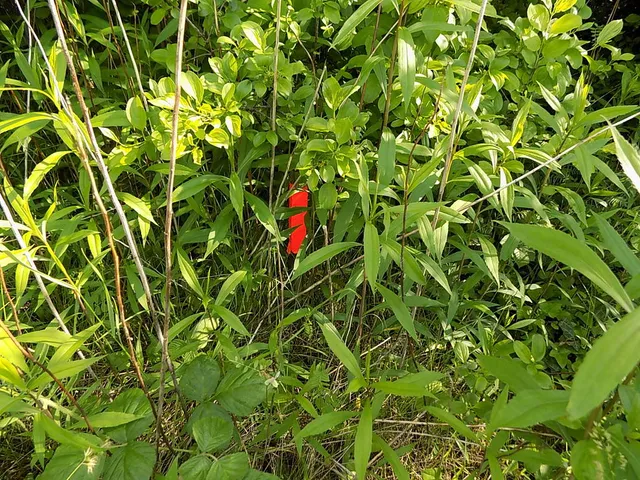 Eladó telek Balatonberény, József Attila utca 5140 nm