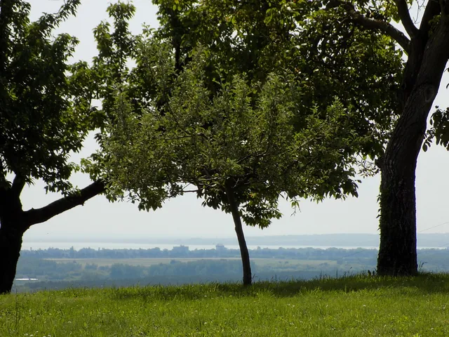 Eladó telek Alsópáhok, 51 4395 nm