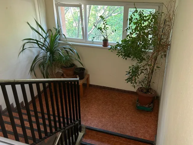 Kiadó lakás Budapest XI. kerület, Kelenföld, Allande park 65 nm