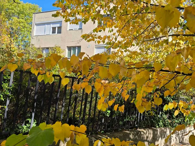 Eladó lakás Budapest I. kerület, Gellérthegy I. ker., Számadó utca  55 nm