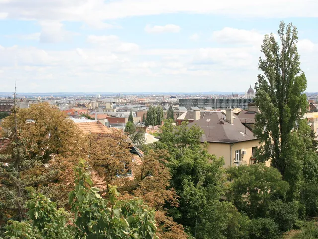 Kiadó lakás Budapest II. kerület, Országút 55 nm