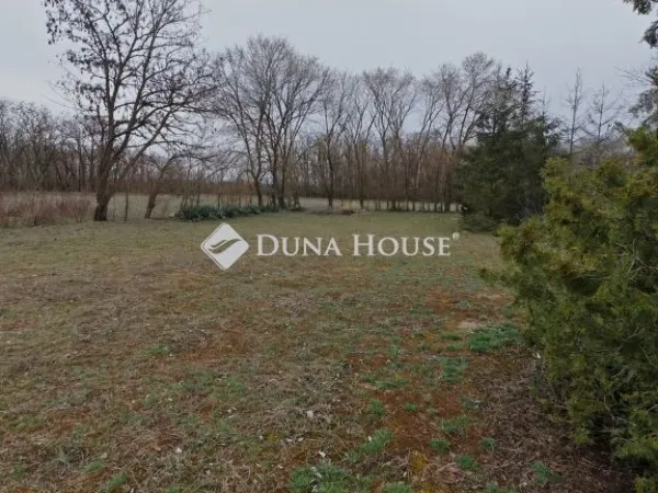 Eladó mezőgazdasági ingatlan Csemő 80 nm