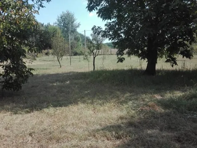 Eladó telek Hosszúpályi 1097 nm