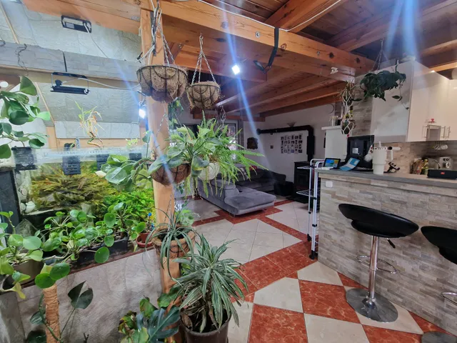 Eladó ház Szigetszentmiklós, Bucka 120 nm